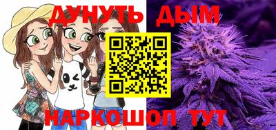 шишки Бийск