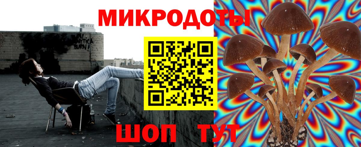 Галлюциногенные грибы прущие грибы  Вход с VPN  Псилоцибиновые грибы ЛСД  Выкса 